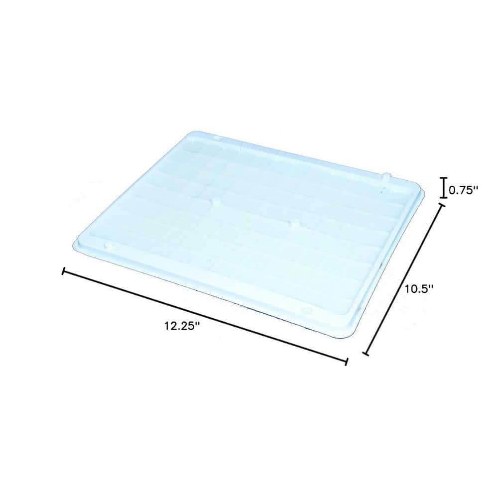 Stick-Em Elephant Size Rat and Mouse Glue Trap Double Trap (12-Pack) - Hercitys