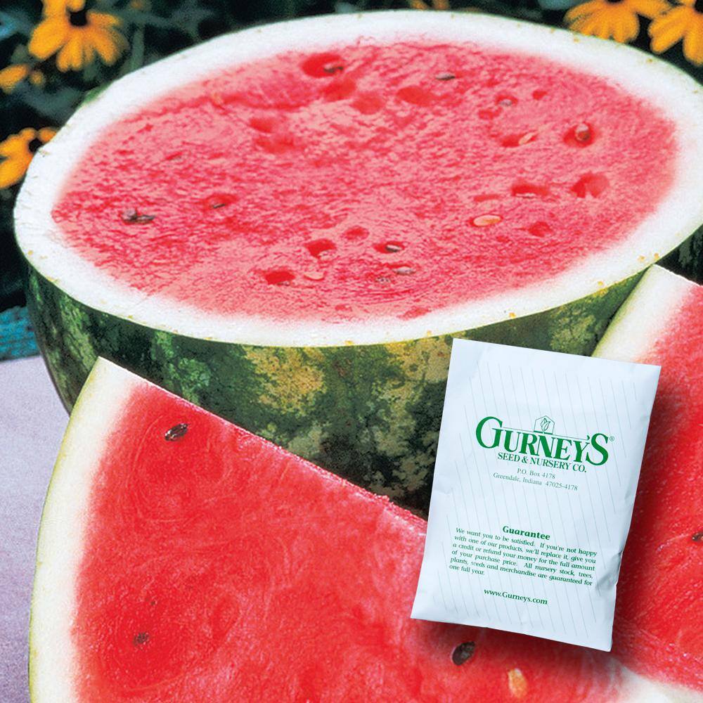 Watermelon Rattlesnake (1 oz. Seed Packet) - Hercitys