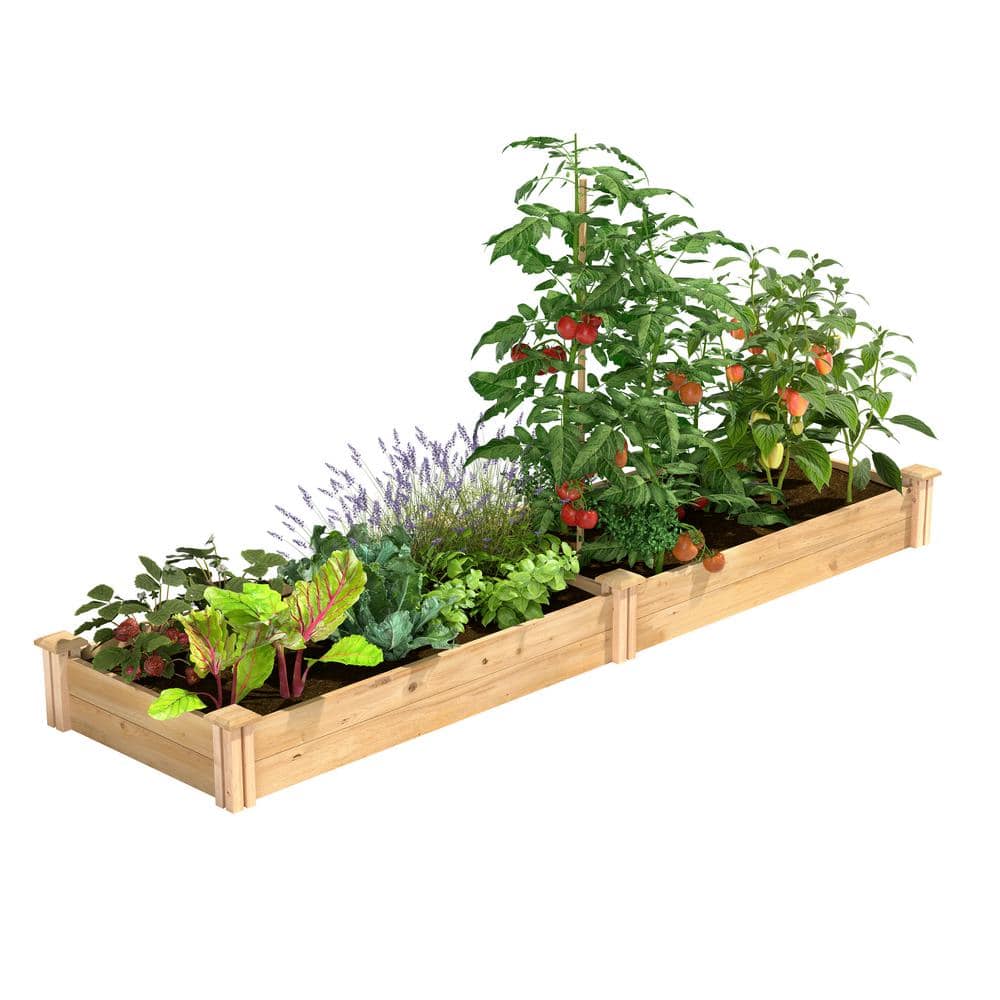 2 ft. x 8 ft. x 7 in. Original Cedar Raised Garden Bed - Hercitys