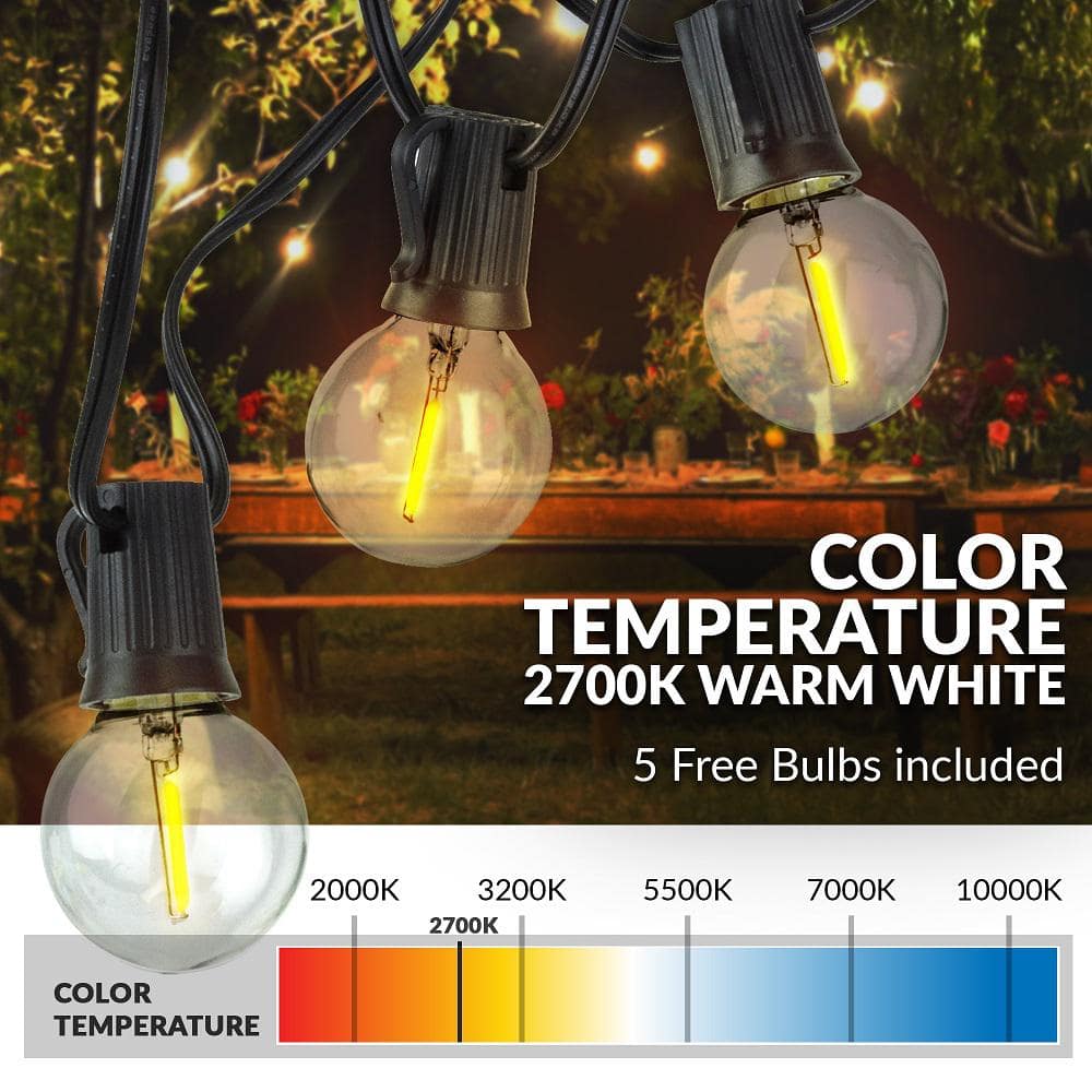 Indoor/Outdoor 50 ft. Plug-In Globe Bulbs Party LED Outdoor String Lights with 50 Sockets and 5 Extra Bulbs - Hercitys